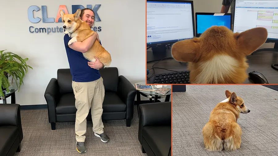 Join Our Growing Team | Clark Computer Services | Join Our Growing Team | Clark Computer Services | At Clark Computer Services, when it comes to their careers in IT, Jared and his dog Hollis are team players.
