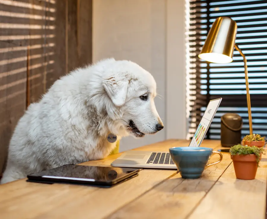 Building a Remote Work Security Plan | Chuck's Cyber Wall | Building a Remote Work Security Plan | Chuck's Cyber Wall | Remote Work Security Plan for small businesses image of a dog at a laptop working from home.